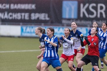 Bild 357 - wBJ Hamburger SV - FC Suederelbe : Ergebnis: 9:0
